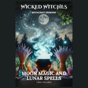 Wicked Witches Witchcraft Grimoire